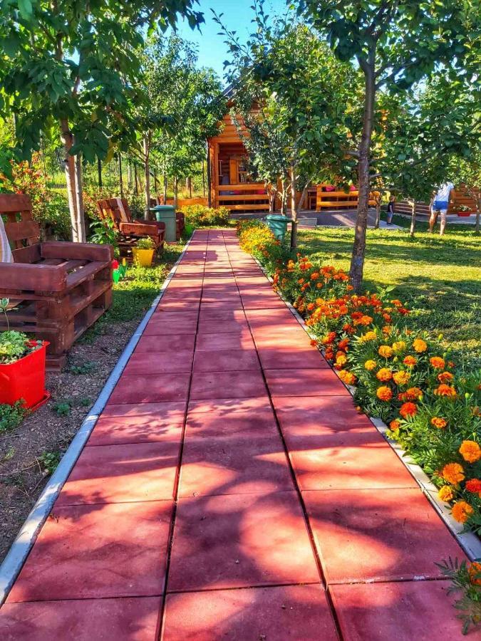 Holiday Bungalows & Food Плав Экстерьер фото
