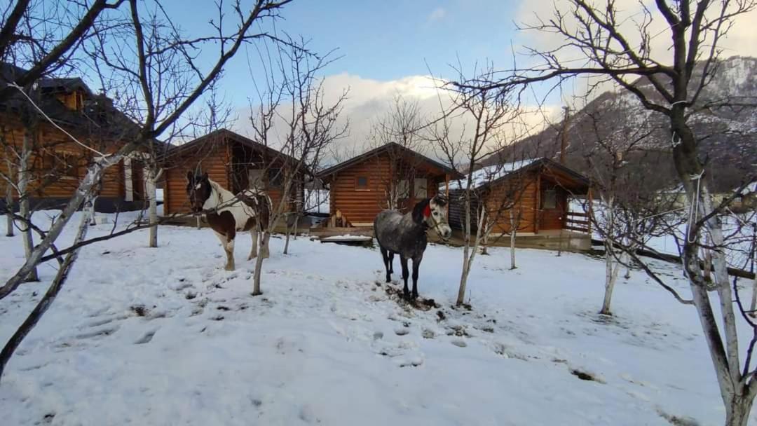 Holiday Bungalows & Food Плав Экстерьер фото