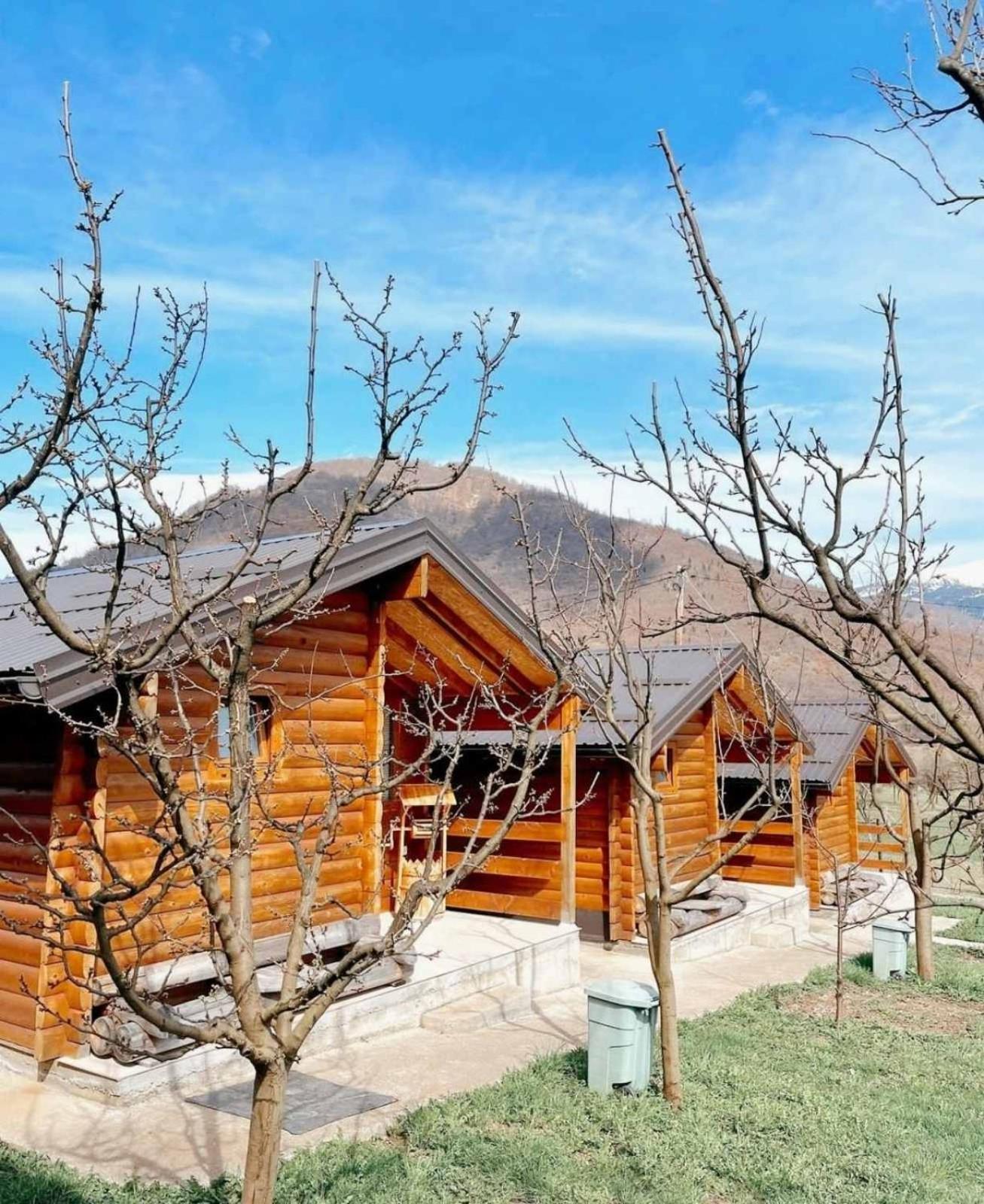 Holiday Bungalows & Food Плав Экстерьер фото